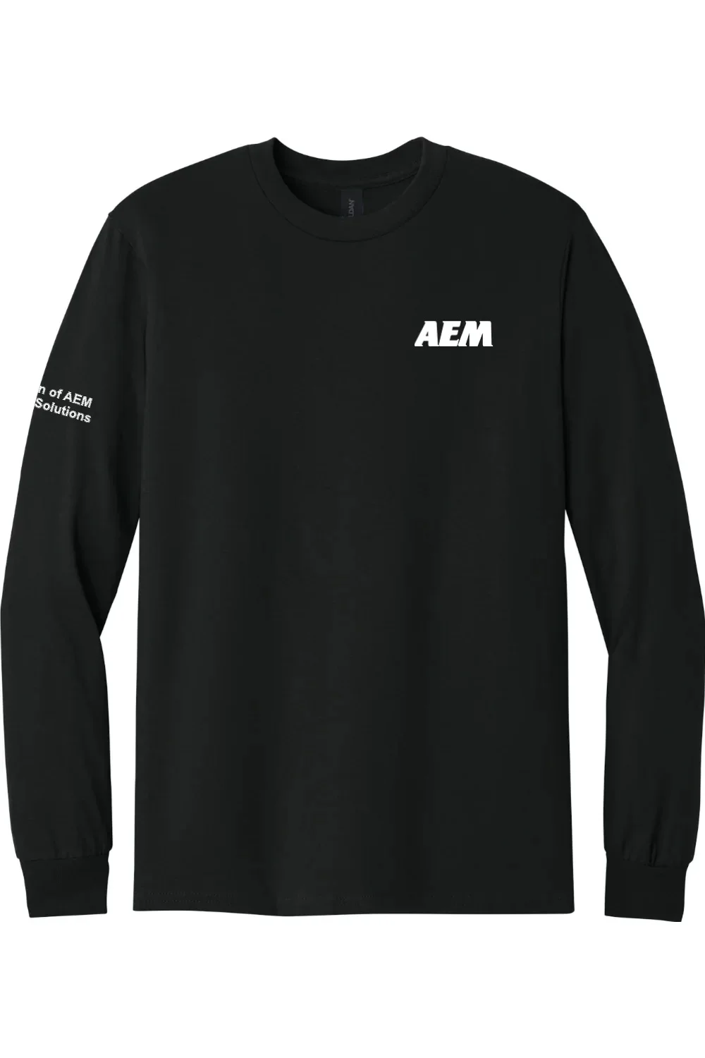 Alternative view of Men's 100% Cotton T-Shirt | AEM